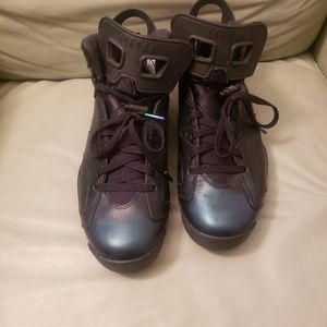 Air jordan retro 6's (All star chameleon)